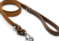 Denjo Dogs Signature talutin, S, Brown/Mustard Online