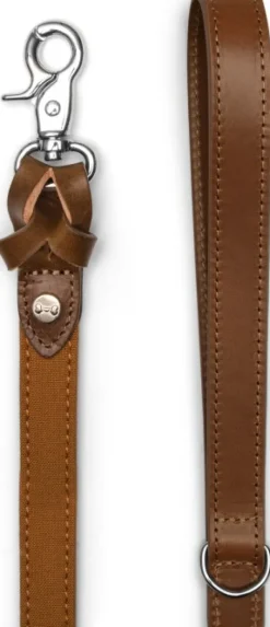 Denjo Dogs Signature talutin, S, Brown/Mustard Online