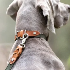 Signature talutin, S, Cognac/Khaki-Denjo Dogs Best