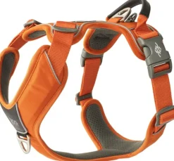 DOG Copenhagen Comfort Walk Pro Harness koiran valjaat, L-XL, Orange Sun Fashion