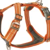 Comfort Walk Air Harness koiran valjaat, S-M, Orange Sun-DOG Copenhagen Discount
