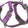 Comfort Walk Air Harness koiran valjaat, XS, Purple Passion-DOG Copenhagen Fashion