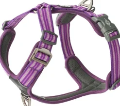 Comfort Walk Air Harness koiran valjaat, XS, Purple Passion-DOG Copenhagen Fashion