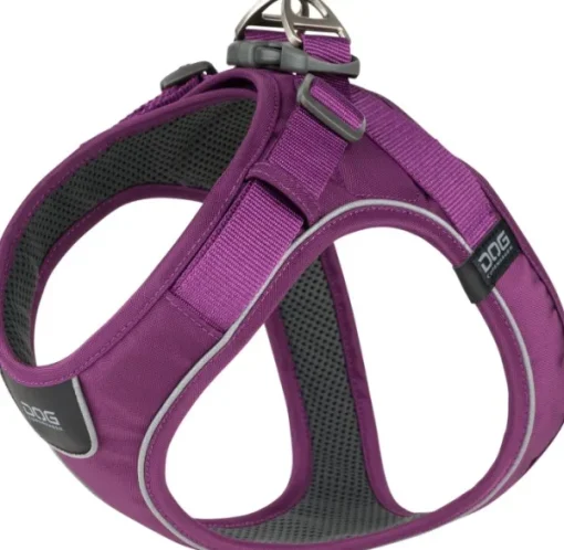 Comfort Walk Go Harness koiran valjaat, M, Purple Passion-DOG Copenhagen New