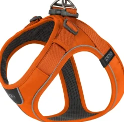 Comfort Walk Go Harness koiran valjaat, M, Orange Sun-DOG Copenhagen Hot