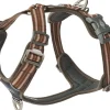 Comfort Walk Air Harness koiran valjaat, S-M, Mocca-DOG Copenhagen Best