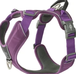 DOG Copenhagen Comfort Walk Pro Harness koiran valjaat, XS, Purple Passion New