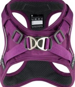 Comfort Walk Go Harness koiran valjaat, M, Purple Passion-DOG Copenhagen New