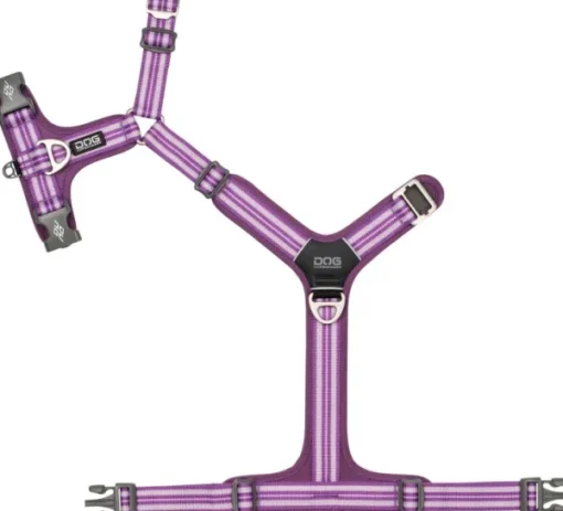 Comfort Walk Air Harness koiran valjaat, XS, Purple Passion-DOG Copenhagen Fashion