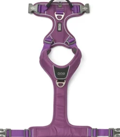 DOG Copenhagen Comfort Walk Pro Harness koiran valjaat, XS, Purple Passion New
