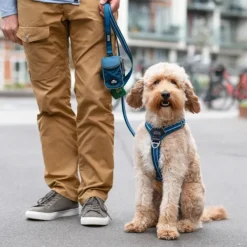 Comfort Walk Air Harness koiran valjaat, S-M, Orange Sun-DOG Copenhagen Discount