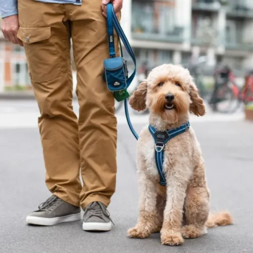 Comfort Walk Air Harness koiran valjaat, S-M, Orange Sun-DOG Copenhagen Discount