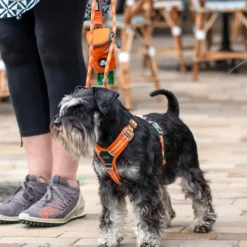 Comfort Walk Air Harness koiran valjaat, XS, Purple Passion-DOG Copenhagen Fashion
