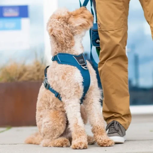 Comfort Walk Pro Harness koiran valjaat, S-M, Mocca-DOG Copenhagen Sale