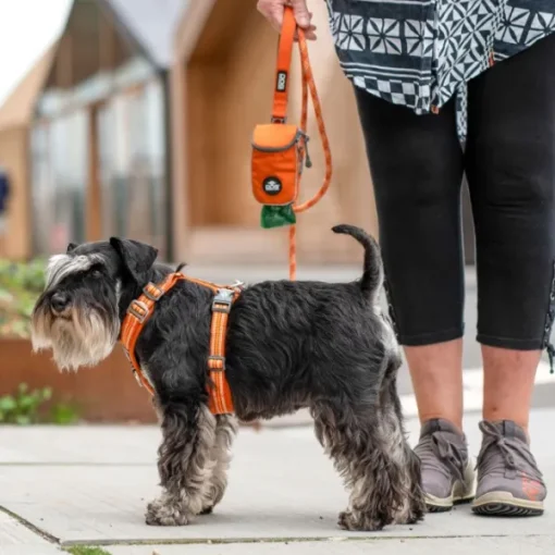Comfort Walk Air Harness koiran valjaat, XS, Purple Passion-DOG Copenhagen Fashion