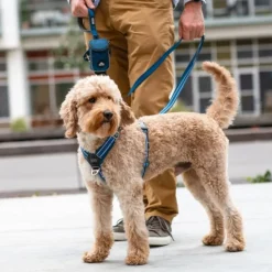 DOG Copenhagen Comfort Walk Air Harness Lemon M Sale