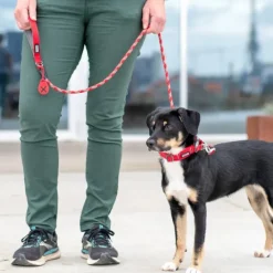 Flexy Poop Bag Holder Desert Dune-DOG Copenhagen New