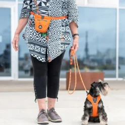 DOG Copenhagen Go Explore Treat Bag makupalapussi, Orange Sun New
