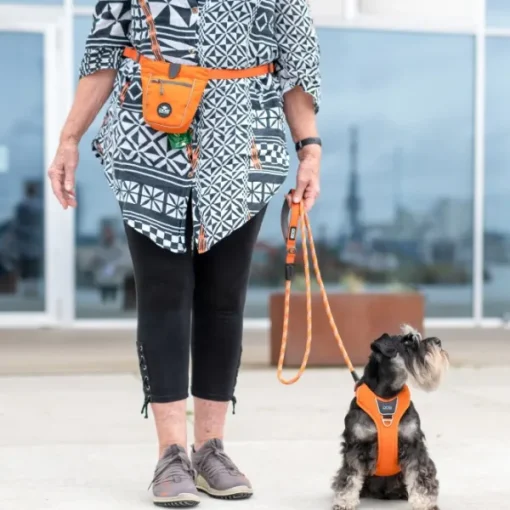 DOG Copenhagen Go Explore Treat Bag makupalapussi, Orange Sun New