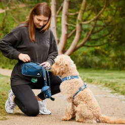 DOG Copenhagen Go Explore Belt Bag vyölaukku, Hunting Green Best