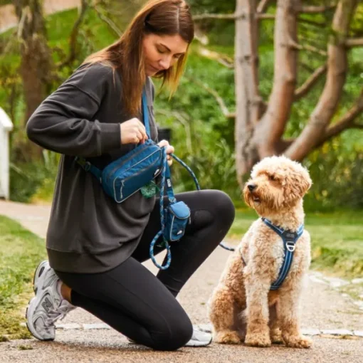 DOG Copenhagen Go Explore Belt Bag vyölaukku, Hunting Green Best