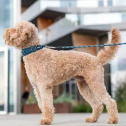 DOG Copenhagen Urban Explorer Collar Desert Dune Online
