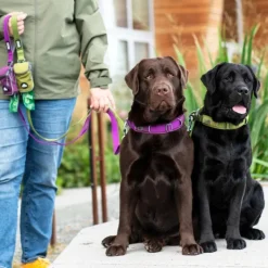 DOG Copenhagen Urban Explorer Collar Desert Dune Online