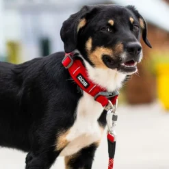 DOG Copenhagen Urban Explorer Collar Desert Dune Online