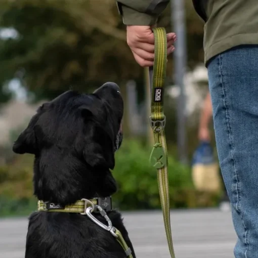 Urban Style Collar Lemon-DOG Copenhagen Hot