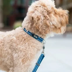Urban Style Collar Lemon-DOG Copenhagen Hot
