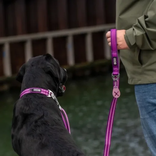 DOG Copenhagen Urban Style Collar kaulapanta, Purple Passion Hot
