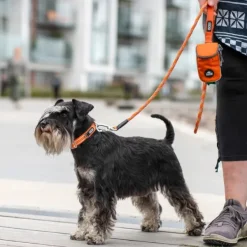 Urban Style Collar Lemon-DOG Copenhagen Hot