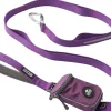 Urban Trail Leash talutushihna, Purple Passion-DOG Copenhagen New
