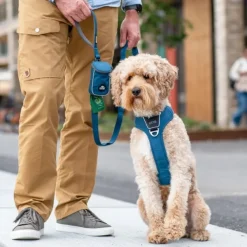 DOG Copenhagen Urban Trail Leash Desert Dune Discount