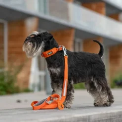 DOG Copenhagen Urban Trail Leash Desert Dune Discount