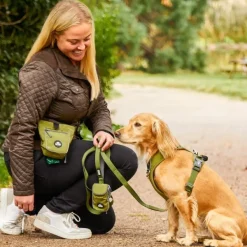 Urban Trail Leash Lemon-DOG Copenhagen New