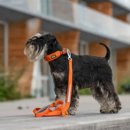 DOG Copenhagen Urban Trail Leash Desert Dune Discount