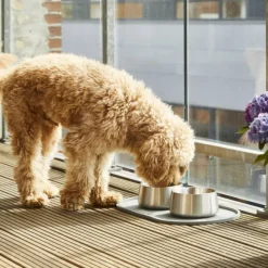 DOG Copenhagen Vega Bowl koirankuppi, S/M, Steel Sale