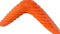 Catch & Carry Boomerang-DOGGI Best
