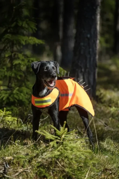 DogTech One Generation 2 koirien suojaliivi, oranssi Sale