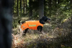 DogTech One Generation 2 koirien suojaliivi, oranssi Sale