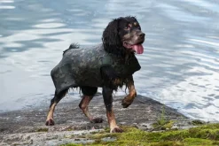 DogTech Retriever neopreeniliivi, Camo Outlet