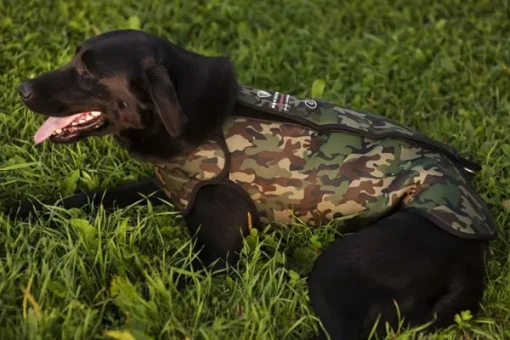 DogTech Retriever neopreeniliivi, Camo Outlet