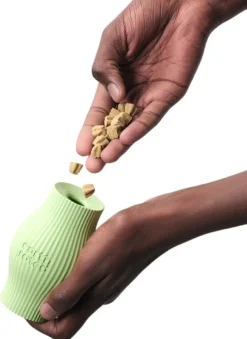 Treat Toy koiranlelu, Small-Earth Rated Best