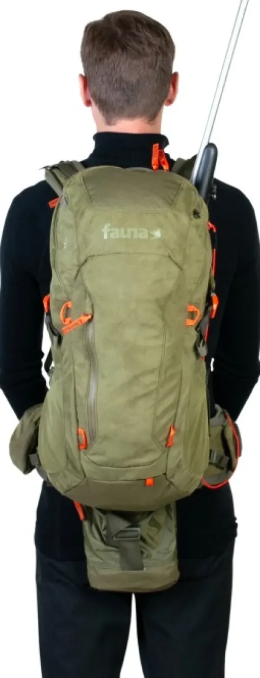 Fauna Iller reppu, 25 Best