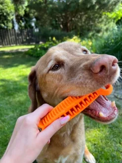 kelluva aktivointilelu, 19 cm, oranssi-Fiboo Fashion
