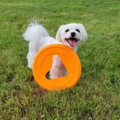 kelluva frisbee, 25 cm, oranssi-Fiboo New
