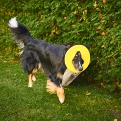 Fiboo kelluva frisbee, 25 cm, keltainen Clearance