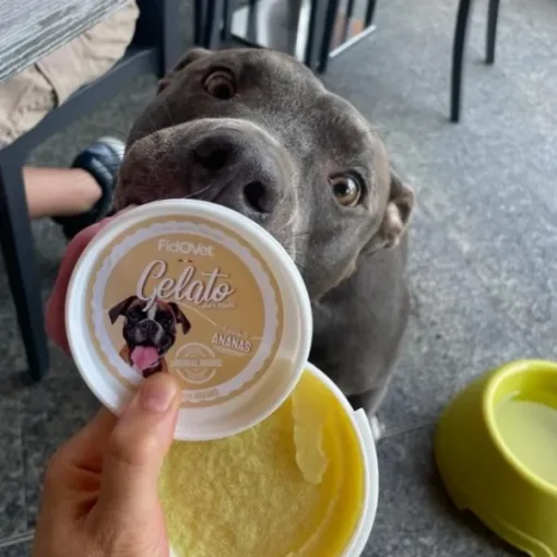 Fidovet koirien jäätelö Gelato Ananas 40g Outlet