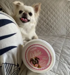Fidovet koirien jäätelö Gelato vanilja 40g Discount